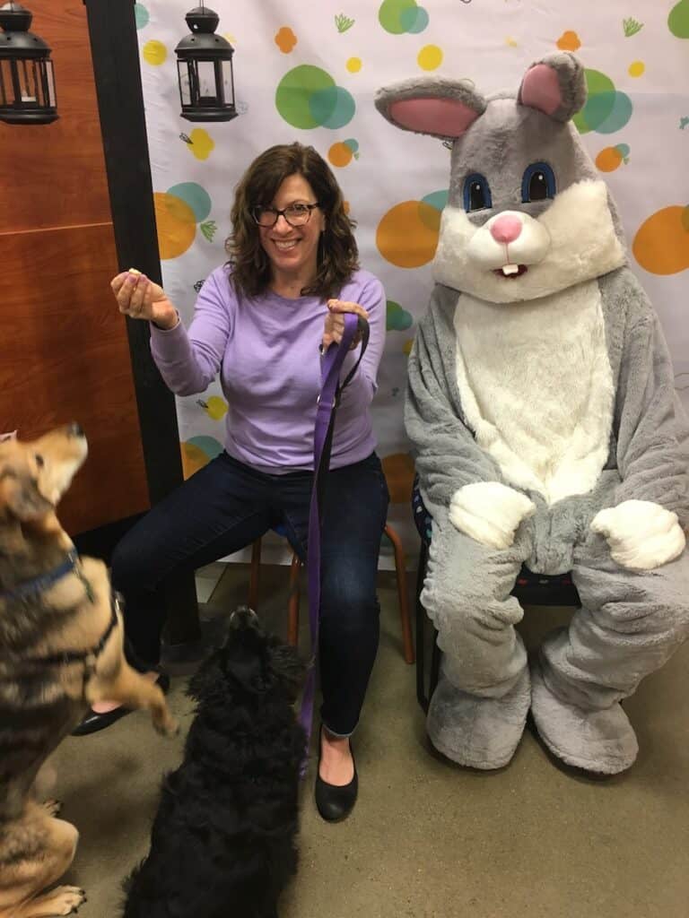 dogs looking at treats with easter bunny