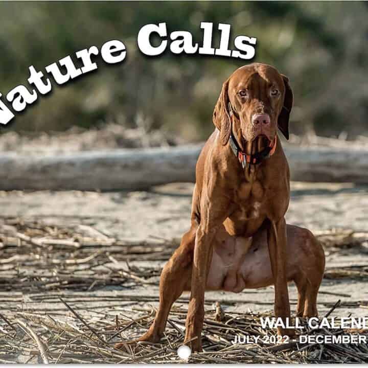 Animal Calendars 2022-2023 - Your Home Dog