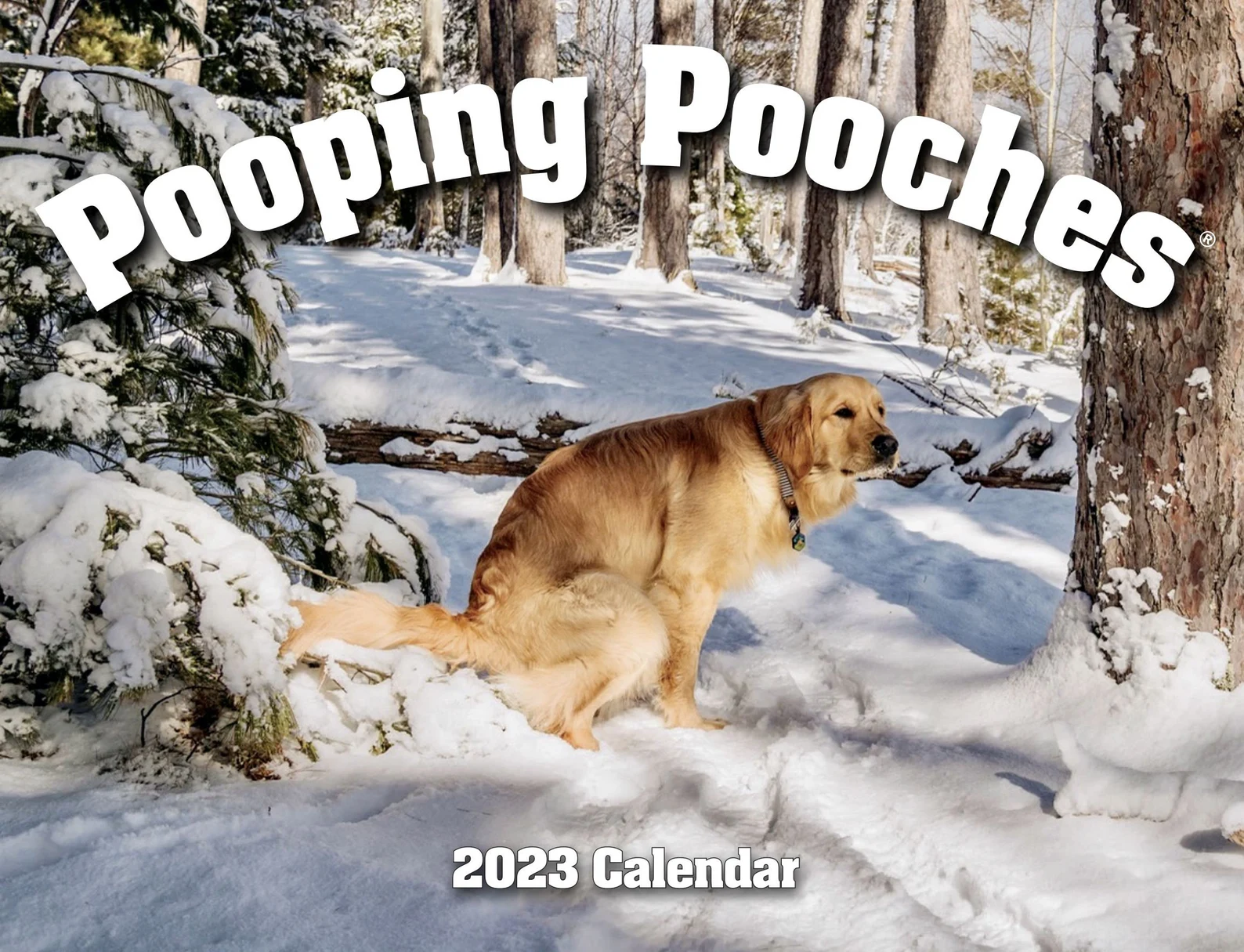 pooping pooches calendar etsy