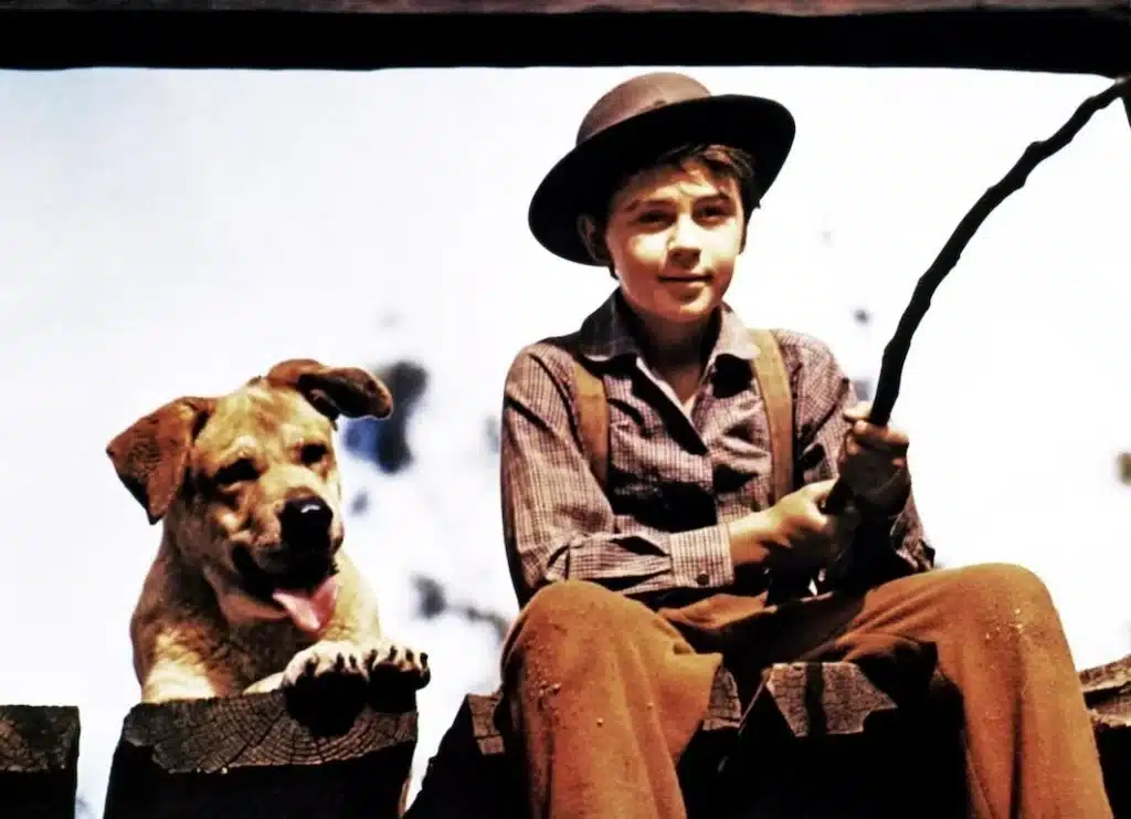 old-yeller_best dog movies of all time