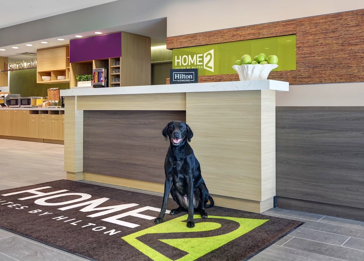 home 2 suites hilton with dog in lobby