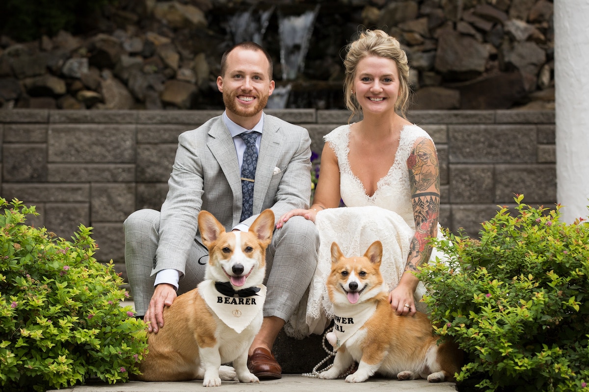 Wedding couple with corgi pets