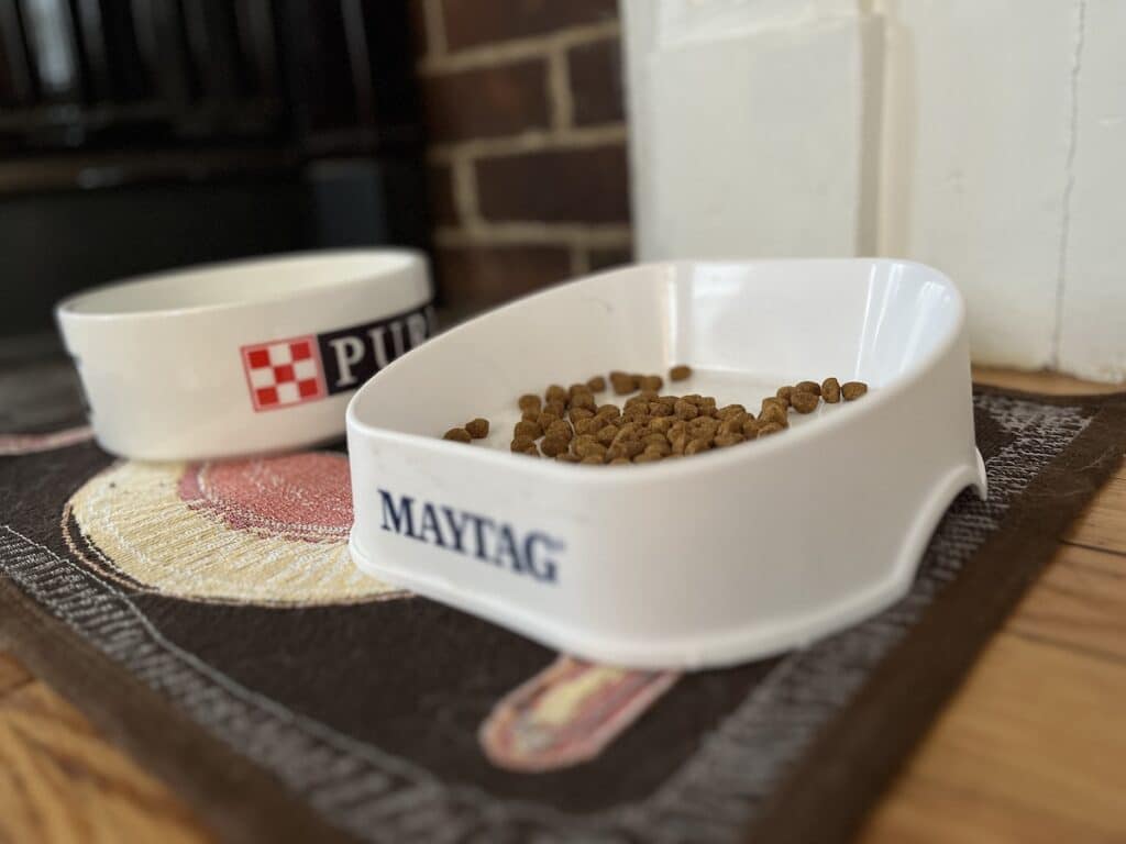 slanted maytag dog bowl for flat face